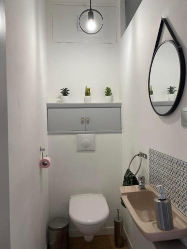 une salle de bain avec toilettes, lavabo et miroir dans l'établissement Appartement terrasse Malo à 2 pas de la plage, à Dunkerque