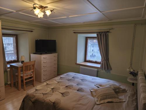 a bedroom with a large bed and a television at Casa Roberta in Falcade