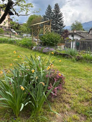 a garden with a bunch of flowers in the grass at Casa GOLLES - Val Di Fiemme in Castello di Fiemme