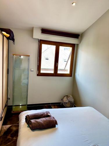 a bedroom with a bed and a glass shower at appart Filaterie Annecy in Annecy