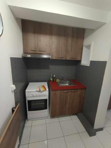 une petite cuisine avec un évier et une cuisinière dans l'établissement Appartement Sauvian, à Sauvian