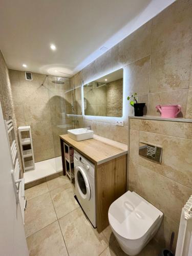 La salle de bains est pourvue de toilettes et d'un lave-linge. dans l'établissement Le Chasse Royal - Calme & Lumineux - Centre du Mans - Parking Privé, au Mans