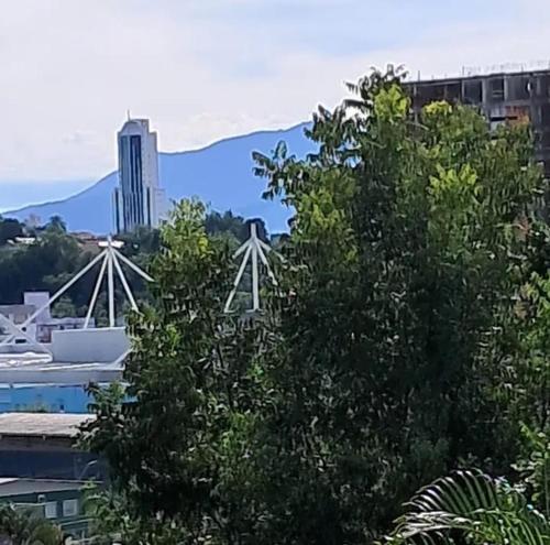 a tree with a view of a city and a harbor at Pousada Vô Joel in Blumenau