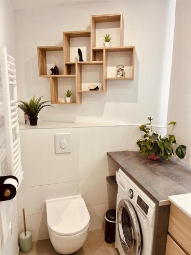 La salle de bains est pourvue de toilettes et d'un lave-linge. dans l'établissement La Maison d'à Coté, à Saint-Jean-le-Blanc