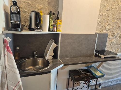 une petite cuisine avec un évier et un micro-ondes dans l'établissement Studio Les Tilleuls, à Amboise