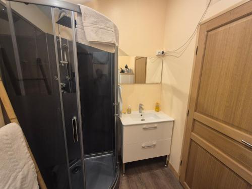 une salle de bain avec douche et lavabo dans l'établissement Studio Les Tilleuls, à Amboise