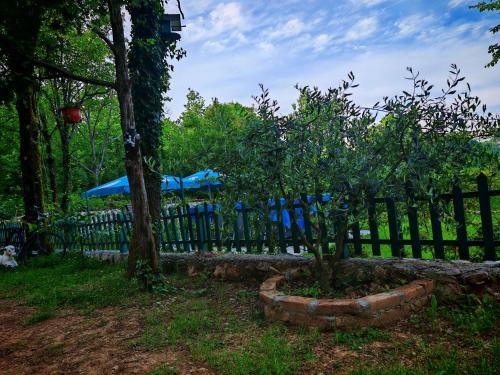 Zahrada ubytování Etno House Šćepanov Hlad