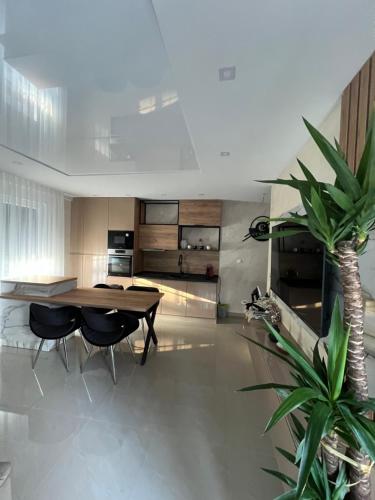 Kuchyň nebo kuchyňský kout v ubytování Centar Penthouse