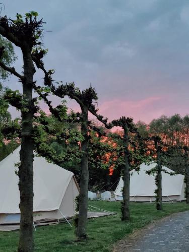 a group of tents in a field with trees at Glamping Josephine in Geel
