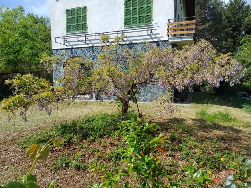 a tree with purple flowers in front of a building at La casa di nonna Angela in Sassello