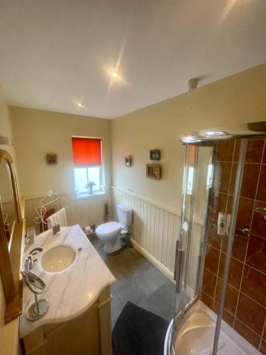a bathroom with a toilet and a sink and a shower at Carraig Ban Cottage Dungloe in Loughanure