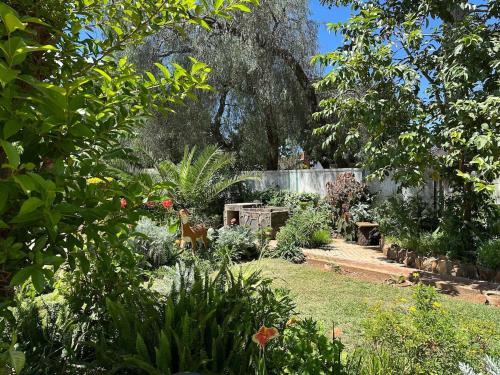 Peanut Cottage Bulawayo