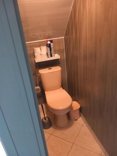une salle de bain avec des toilettes avec une étagère au-dessus dans l'établissement La chambre de Carole, à Aucey-la-Plaine