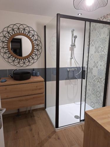 La salle de bains est pourvue d'une douche et d'un miroir. dans l'établissement L'avocette Gîtes de la réserve, à Grand-Laviers