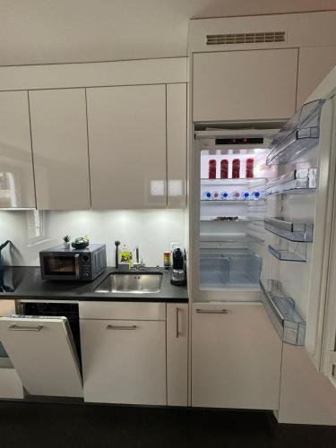 Zürich Central Station Apartment, 2 bedroom & Sofabed