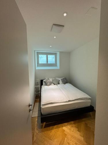 Zürich Central Station Apartment, 2 bedroom & Sofabed
