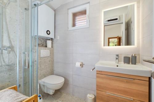 ein Badezimmer mit Toilette, Waschbecken und Dusche in der Unterkunft Cozy Holiday Home Punta Kriza in Punta Križa