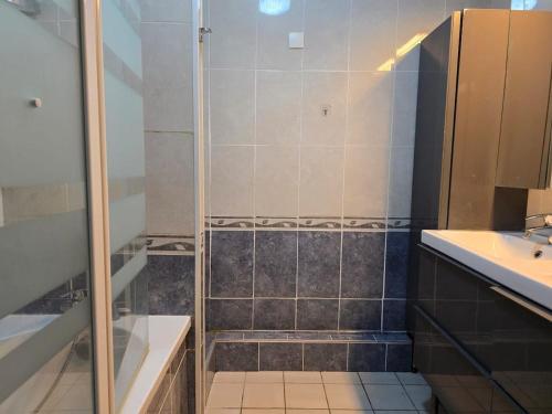 une salle de bain avec douche et lavabo dans l'établissement Maison avec jardin et garage, à Carcassonne