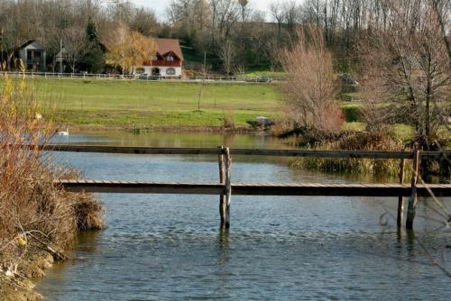 a wooden bridge over a body of water at Ulbert Pince Panzió in Szederkény