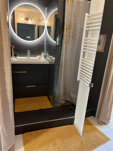 une salle de bain avec un lavabo et une douche avec un miroir dans l'établissement Calme et joie, à Montpellier
