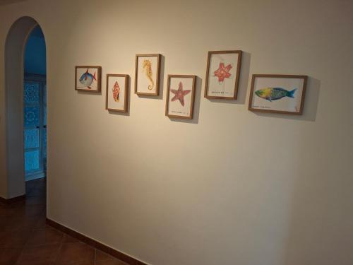 a row of framed pictures on a wall at Appt 83m2 rez de jardin dans villa parc privé balcon vue mer in Saint-Raphaël