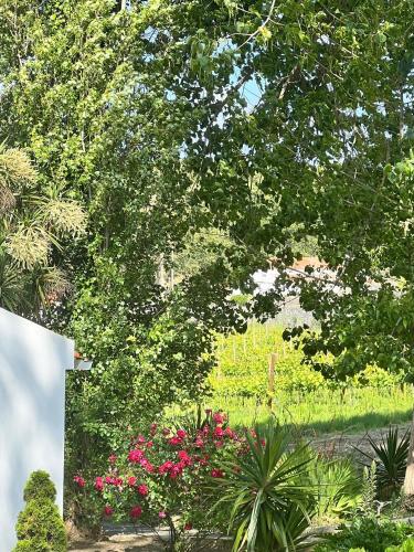 a tree with pink flowers in a garden at Quinta Pedra Firme in Sintra