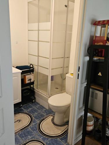 une salle de bain avec toilettes et douche dans l'établissement Studio gare, à Rouen