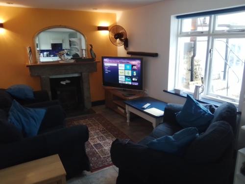 a living room with a tv and a fireplace at Penzer Cottage in Mousehole