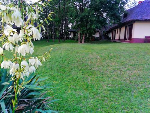 Κήπος έξω από το Nádas Tanya 2 maisons en pleine nature et Piscine