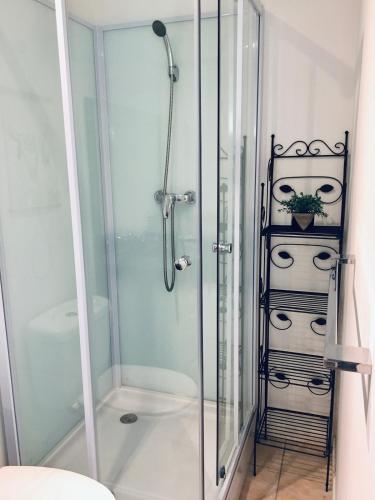 une douche avec une porte vitrée dans une salle de bain dans l'établissement Studio cosy avec piscine privative semi-enterrée, à Saint-Sernin