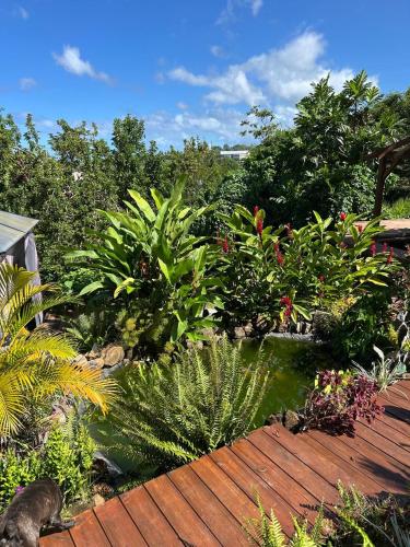 Jardín al aire libre en O Soley Carib