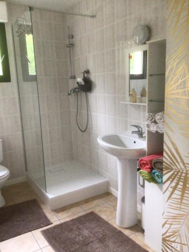 une salle de bain avec douche et lavabo dans l'établissement Appartement avec vue sur le lac du Bourget, à Pugny-Chatenod