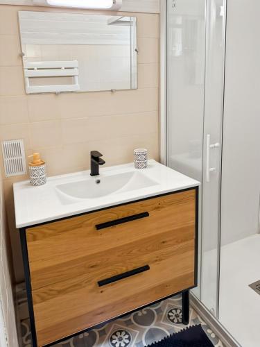 une salle de bain avec un lavabo et une douche dans l'établissement Maison familiale en montagne - 6 pers - Le Lioran, à Saint-Jacques-des-Blats