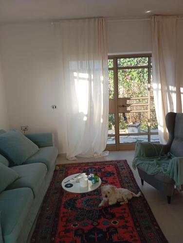 a living room with a dog laying on a rug at טוסקנה הקטנה in Rosh Ha‘Ayin