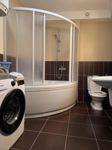 a bathroom with a washing machine and a toilet at Gemelli in Igalo
