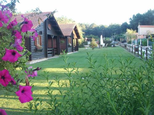 a house with a yard with pink flowers at Cabañas de Lires in Lires