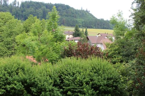 a group of houses in the midst of trees at Ferienhüsli in Siglistorf