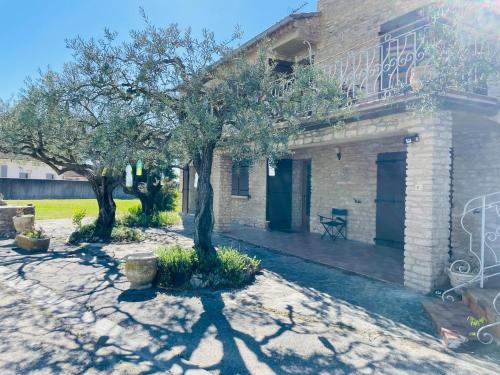 Photo de la galerie de l'établissement Parenthèse zen Vaucluse, à Carpentras