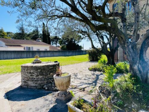 Photo de la galerie de l'établissement Parenthèse zen Vaucluse, à Carpentras
