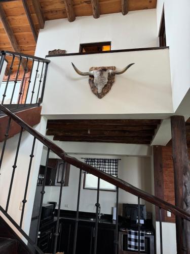 a head of a bull on the wall of a building at Cabin in the Clouds in Tapantí