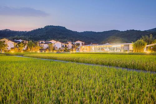 a green rice field in front of a building at Dongqian Lake Junlan Resort Hotel in Ningbo