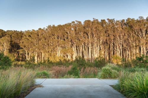 a road in a field with trees in the background at Birdsong Beach Retreat - Newly Built in North Creek