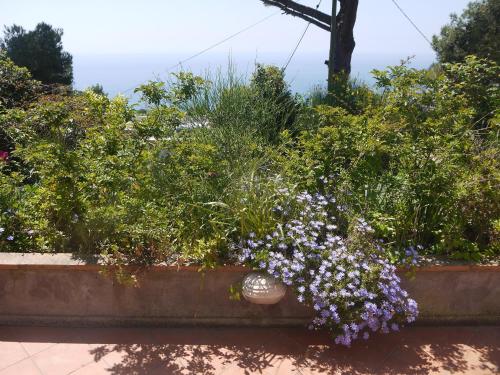 Gallery image of Villetta Rosetta in Capri