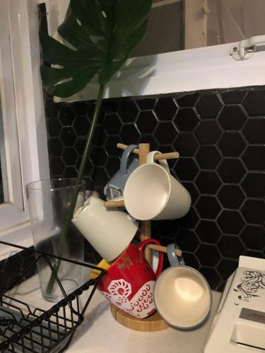 a group of coffee cups and a plant on a counter at Kananta Home in Bongkar 2