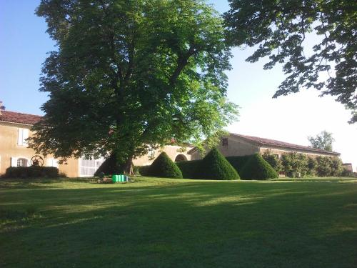 a large green yard with a large tree in front of a house at Le Gavachon in Leboulin