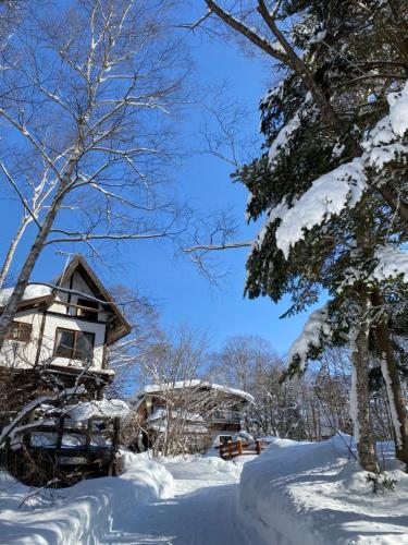 a snow covered yard with a house and trees at Lodge Pinokio Backpackers in Nagano