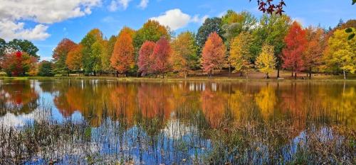 a lake with colorful trees reflecting in the water at Khanyeni in Himeville