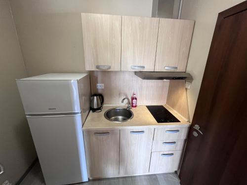 Η κουζίνα ή μικρή κουζίνα στο Vadim Apartments in Panorama Beach Vigo Nessebar