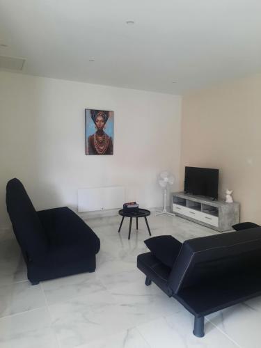 un soggiorno con un divano nero e una TV di Charmante maison rénovée a Thénioux