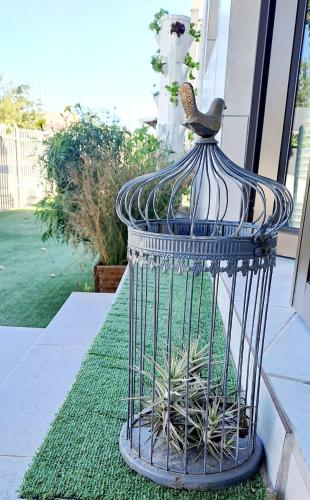 a bird sitting on top of a bird cage at Happy'Nest at Garden Route in Riversdale